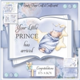 Little Prince Arrival