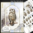 Owl Christmas and Birthday 1
