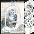 Owl Christmas and Birthday 2