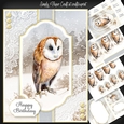 Owl Christmas and Birthday 3
