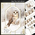 Owl Christmas and Birthday 4