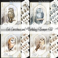 Owl Christmas and Birthday Bumper Kit
