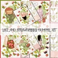 Lace and Strawberries Bumper Kit