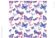 Sweet Butterflies 8x8 inch No1