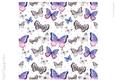 Sweet Butterflies 8x8 inch No2