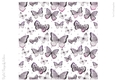 Sweet Butterflies 8x8 inch No3