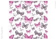 Sweet Butterflies 8x8 inch No4