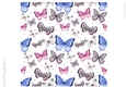Sweet Butterflies 8x8 inch No5
