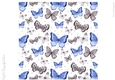 Sweet Butterflies 8x8 inch No6