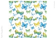 Sweet Butterflies 8x8 inch No11