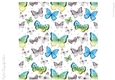Sweet Butterflies 8x8 inch No12