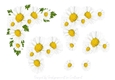 Daisy Corner Step by Step