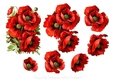 Vintage poppy Step by Step 