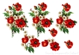 Vintage Poppy and Daisy Step by Step 