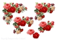 Rose and Carnation Step by Step 