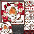 Tartan Christmas Robin Mini Kit 1