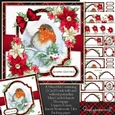 Tartan Christmas Robin Mini Kit 3