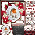 Tartan Christmas Robin Mini Kit 4