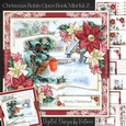 Christmas Robin Open Book Mini Kit 2
