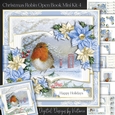 Christmas Robin Open Book Mini Kit 4