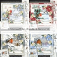 Christmas Robin Open Book Mini Bumper Kit