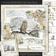Christmas British Birds Owl Open Book