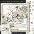 Christmas British Birds Robin Open Book