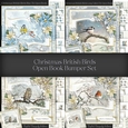 Christmas British Birds Open Book Bumper Set