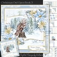 Christmas Owl Open Book 3