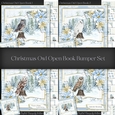 Christmas Owl Open Book Bumper Set