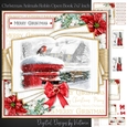 Christmas Animals Robin Open Book 7x7 inch