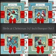 Birds at Christmas 7x7 inch Bumper Set 1