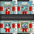 Birds at Christmas 7x7 inch Bumper Set 2