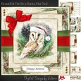 Beautiful Owl in a Santa Hat No.1