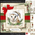 Beautiful Owl in a Santa Hat No.2