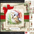 Beautiful Owl in a Santa Hat No.3