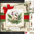 Beautiful Owl in a Santa Hat No.4