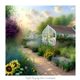 Greenhouse 7x7 inch No.12