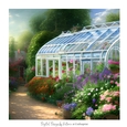 Greenhouse 7x7 inch No.15