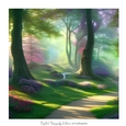 Enchanted Forest 7x7 inch No.1