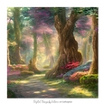 Enchanted Forest 7x7 inch No.5