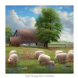 The Farmhouse 7x7 inch No.1