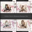 Owl in Cherry Blossom Bumper Set