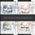 Swans in Cherry Blossom Bumper Set