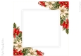 Poinsettia 8x8 inch No.2