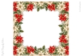 Poinsettia 8x8 inch No.3