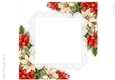 Poinsettia 8x8 inch No.4