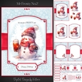 Mr Frosty No.2