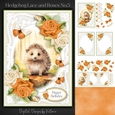 Hedgehog Lace and Roses No.5
