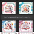8x8 Birthday Celebration Bumper Set